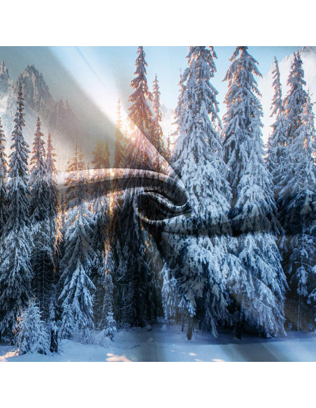 Fondo de Fotografía Navidad DePhoto 2.1x1.5m Bosque Nieve