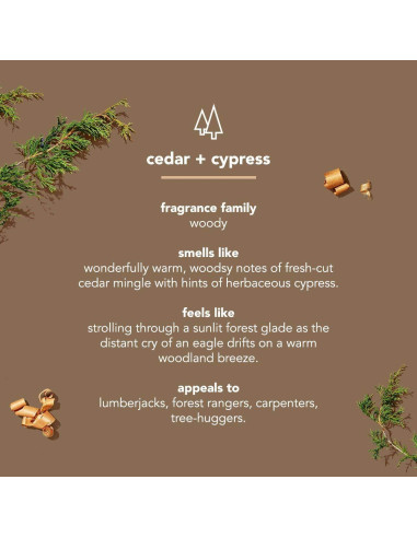 Desodorante para hombres Method sin aluminio 75g x6 - Cedro y Ciprés