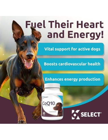 Suplemento K9 Select CoQ10 para Perros 30mg - 90 Geles Blandos