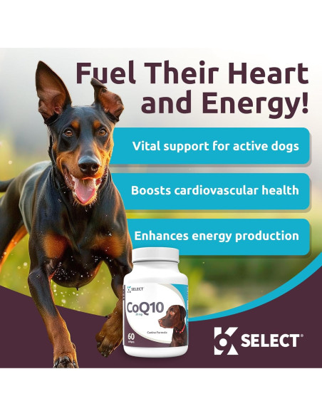 Suplemento K9 Select CoQ10 para Perros 30mg - 90 Geles Blandos