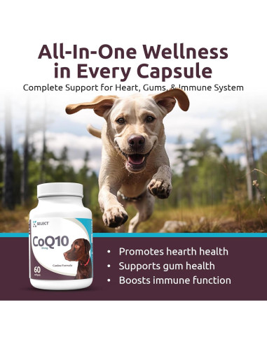 Suplemento K9 Select CoQ10 para Perros 30mg - 90 Geles Blandos