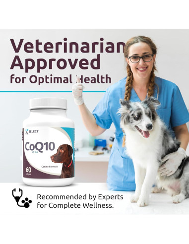 Suplemento K9 Select CoQ10 para Perros 30mg - 90 Geles Blandos
