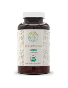 Cápsulas de Raíz de Ortiga Picante HerbEra 120 Unidades 500 mg