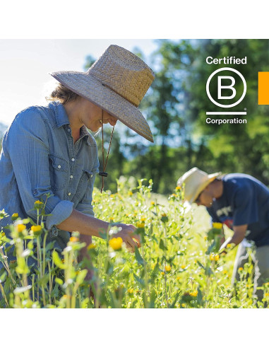 Extracto Líquido de Hamamelis Herb Pharm 30 ml Vegano