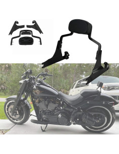 Sissy Bar Desmontable Harvards Chrome para Harley 2013-2017 2