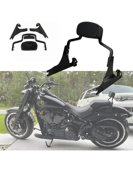 Sissy Bar Desmontable Harvards Chrome para Harley 2013-2017