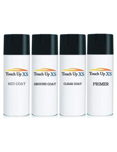 Pintura de Retoque Touchup XS para Lexus ES350 077 Perla Starfire 340g