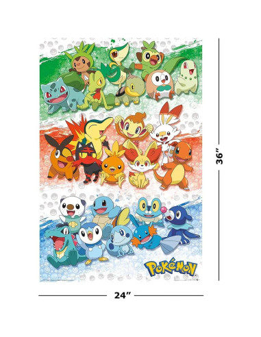 Conjunto de Pósters Pokémon 2 Piezas 61x91 cm - Primeros Compañeros y Movimientos