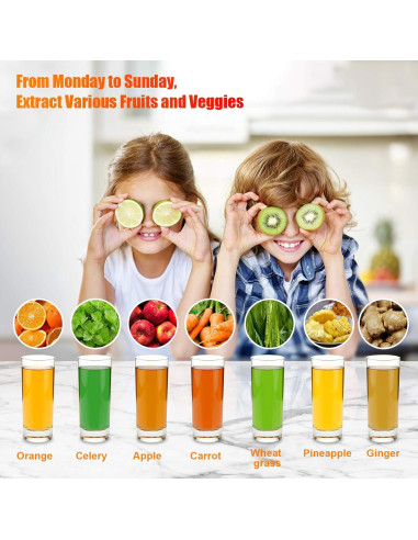 Exprimidor de Frutas y Verduras Acezoe SBL365AB Pro4 1300W