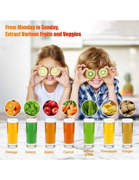 Exprimidor de Frutas y Verduras Acezoe SBL365AB Pro4 1300W