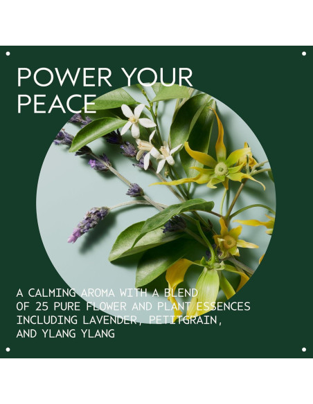 Aceite de Composición Aveda Shampure 50 ml - Aroma Lavanda