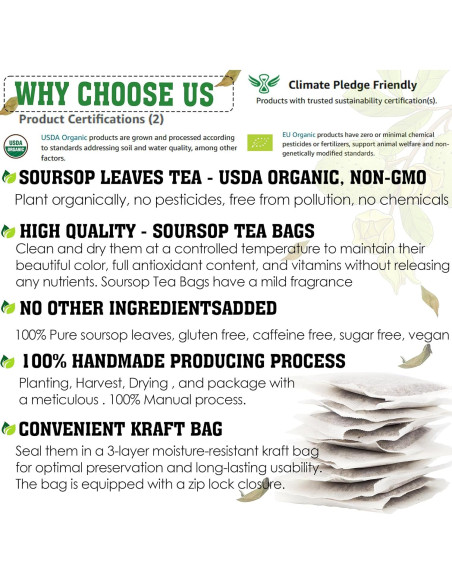 Té Orgánico de Hojas de Guanábana KEYXE 75 Bolsitas Ecológicas