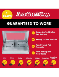 Trampa Humana para Ratones TGF Reutilizable 26x16cm Plata 2