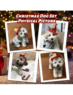 Conjunto de Juguetes de Navidad para Perros DARDOHIA 8 Piezas 2