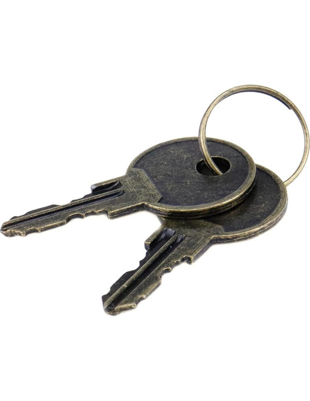 Cerradura de Gabinete Chinflly Bronce Antiguo 52x34mm Cerradura de Gabinete Chinflly Bronce Antiguo 52x34mm