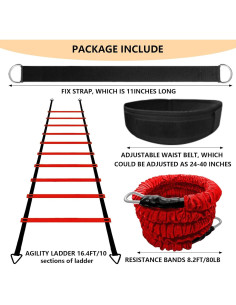 Conjunto de Entrenamiento de Velocidad Tuyzhrymlic con Escalera y Banda 80lb 2