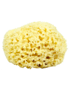 Esponja de Lana de Mar Jumbo Royal Brush 17.78 cm Natural