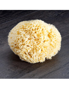 Esponja de Lana de Mar Jumbo Royal Brush 17.78 cm Natural 2