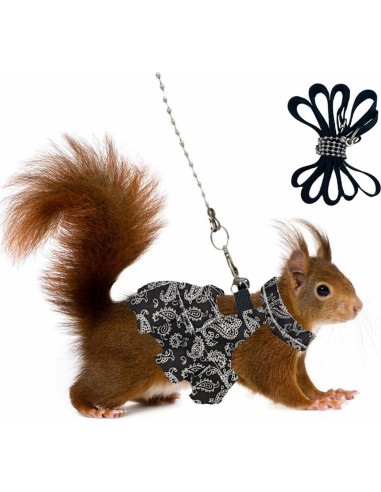 Juego de Arnés y Correa para Pequeños Animales Copfeu Mediano