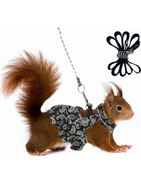 Juego de Arnés y Correa para Pequeños Animales Copfeu Mediano