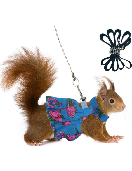 Juego de Arnés y Correa para Pequeños Animales Copfeu Mediano