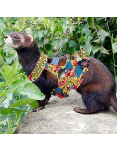 Juego de Arnés y Correa para Pequeños Animales Copfeu Mediano