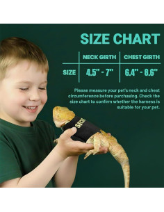 Conjunto Arnés y Correa Ajustable TRECKPET para Dragón Barbudo 2