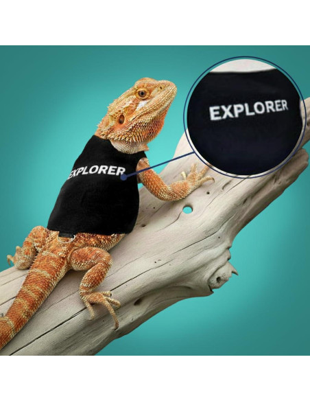 Conjunto Arnés y Correa Ajustable TRECKPET para Dragón Barbudo