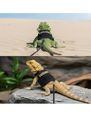 Conjunto Arnés y Correa Ajustable TRECKPET para Dragón Barbudo