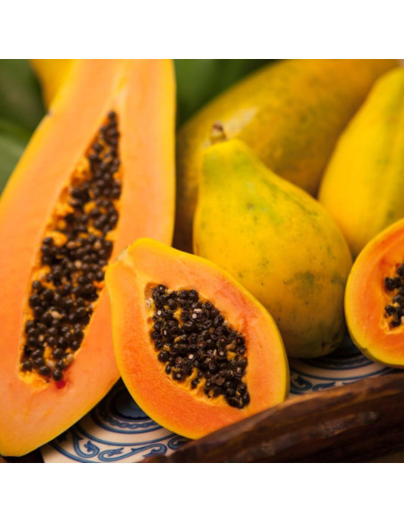 Jabón Kojic de Papaya y Zanahoria 100g - Aclara y Hidrata