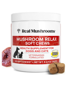 Masticables Calmantes Real Mushrooms para Perros y Gatos - 240g