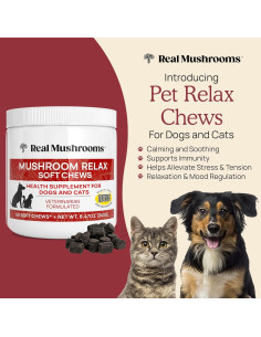 Masticables Calmantes Real Mushrooms para Perros y Gatos - 240g 2