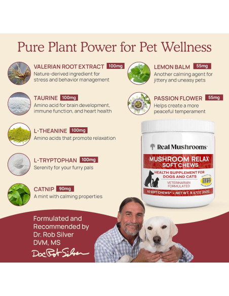 Masticables Calmantes Real Mushrooms para Perros y Gatos - 240g