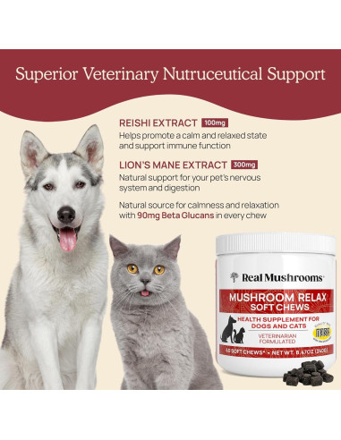 Masticables Calmantes Real Mushrooms para Perros y Gatos - 240g