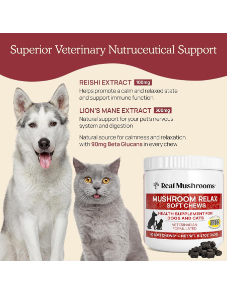 Masticables Calmantes Real Mushrooms para Perros y Gatos - 240g