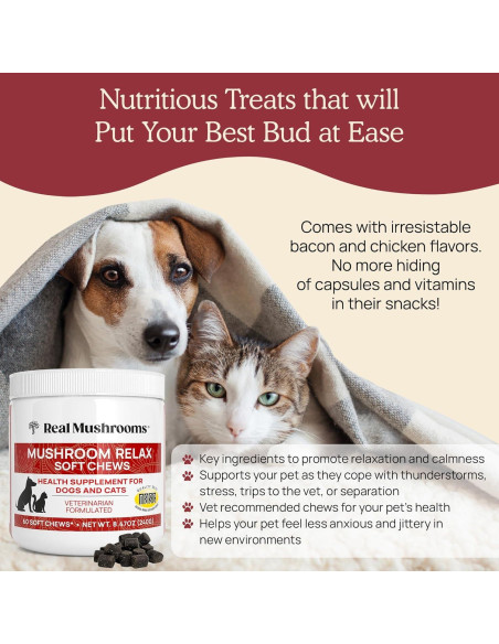 Masticables Calmantes Real Mushrooms para Perros y Gatos - 240g