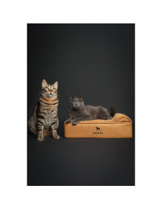 Cama para Perros Pequeños Noah & Paw, Espuma Ortopédica 50.8x38.1 cm 2