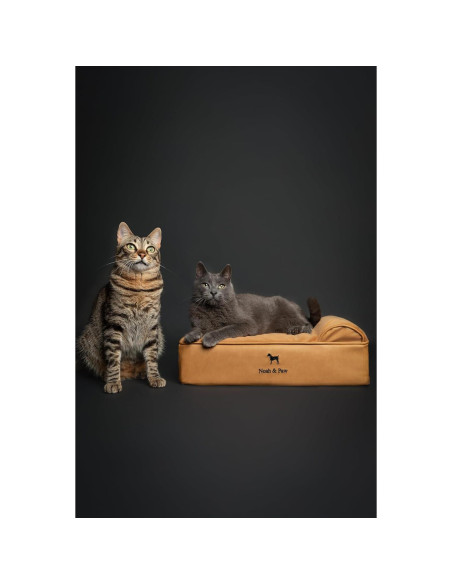 Cama para Perros Pequeños Noah & Paw, Espuma Ortopédica 50.8x38.1 cm