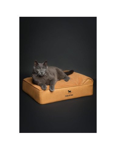 Cama para Perros Pequeños Noah & Paw, Espuma Ortopédica 50.8x38.1 cm