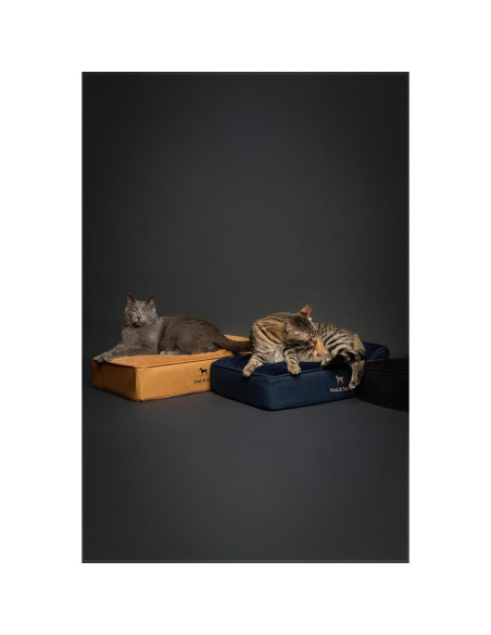 Cama para Perros Pequeños Noah & Paw, Espuma Ortopédica 50.8x38.1 cm