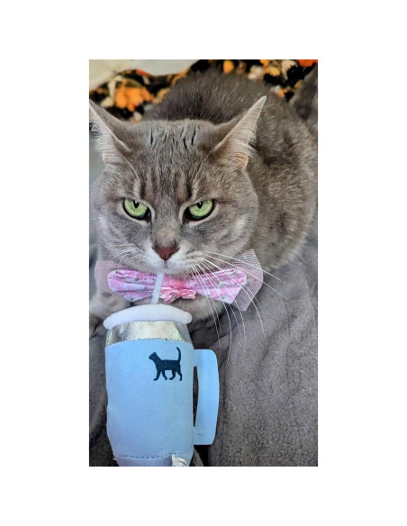 Juguete para Gato Kitty Cup Aspire Designs 12.7cm Catnip