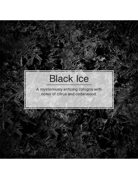 Ambientador de Aire Little Trees Hielo Negro 24 Unidades