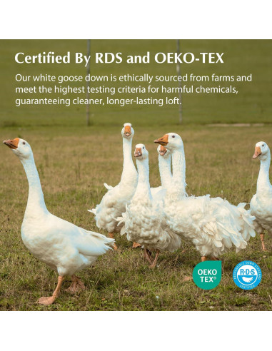 Almohada de Cama Pacific Coast Estándar Plumas Ganso 700 Relleno