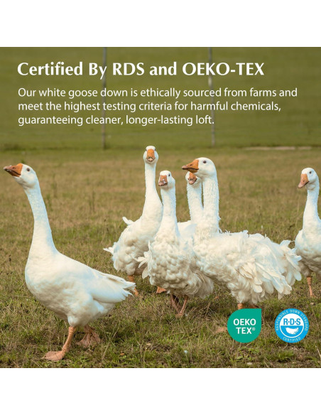 Almohada de Cama Pacific Coast Estándar Plumas Ganso 700 Relleno