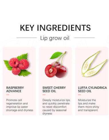 Brillo Labial Hidratante CHIFURE 7.93 g - Voluminizador Transparente