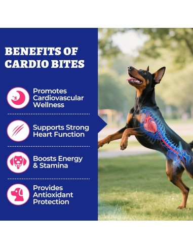 Wellix Cardio Bites 260g - Suplemento para Corazón de Perros