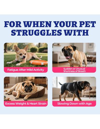 Wellix Cardio Bites 260g - Suplemento para Corazón de Perros