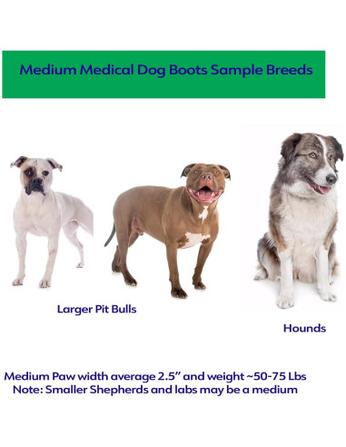 Botas Médicas Antideslizantes Healers para Perros Medianos