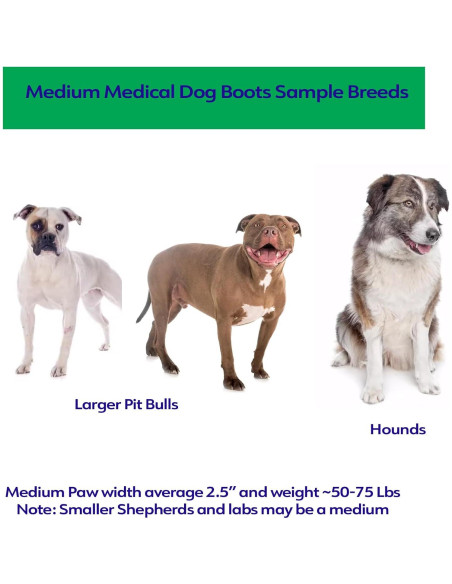 Botas Médicas Antideslizantes Healers para Perros Medianos