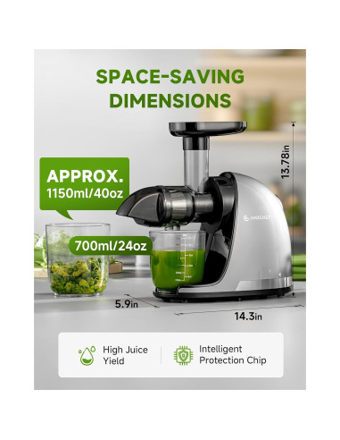 Exprimidor Masticador AMZCHEF ZM1501 Gris 150W Fácil Limpieza